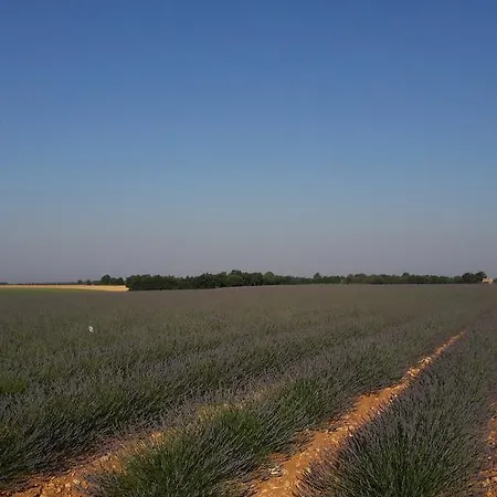 Les Deux Lions فندق