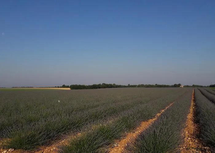 Les Deux Lions Hotel