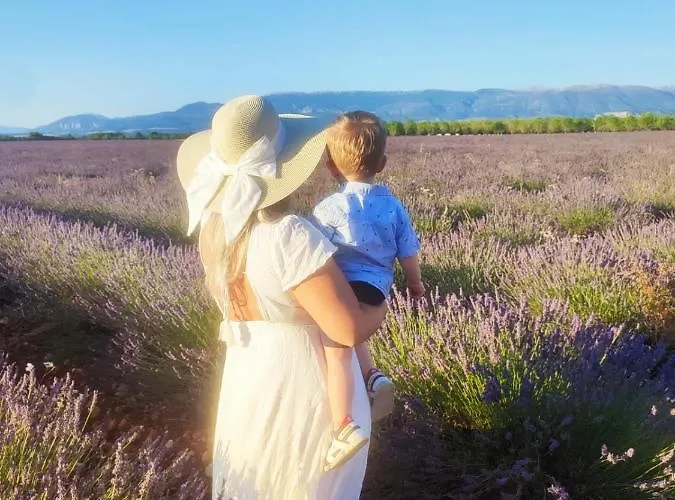 Hotel Les Deux Lions