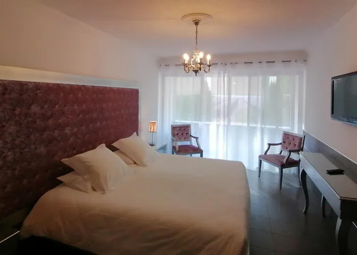 Hotel Les Deux Lions Riez